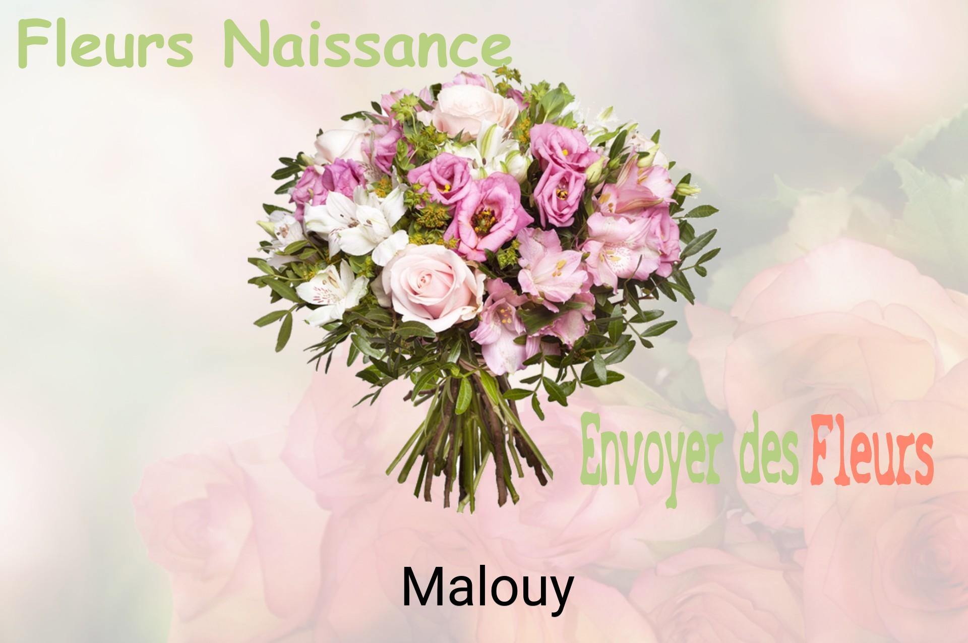 Bouquet de fleurs de naissance livré à Malouy